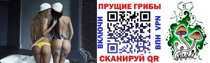 сайты даркнета официальный сайт  Печора  Псилоцибиновые грибы ЛСД 